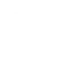 Carefully Selected Fruits